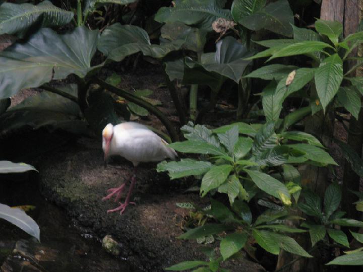 Biodome 006.JPG